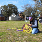Kite Festival