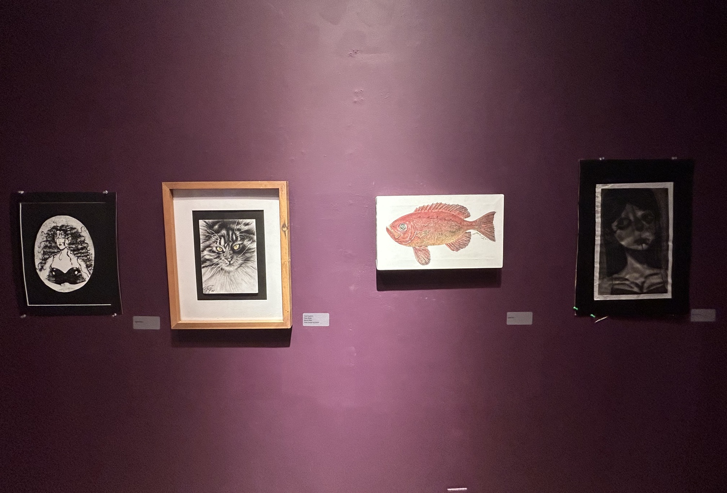 Fourth Congressional District Art Competition
