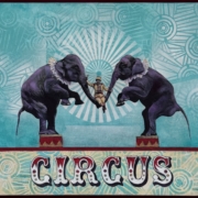 011 - Circus