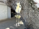 Cat Wind chime