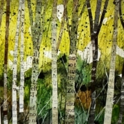 Art Club Nature Gone Wild